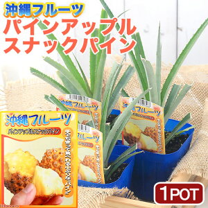 iϗtAjʎc@@pCAbv@XibNpC@3D5i1|bgj@ƒ؉@ʕ@t[c