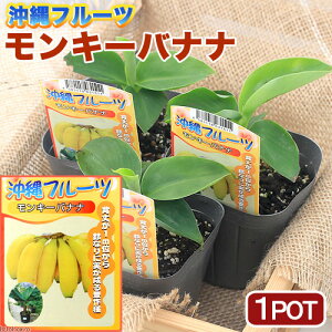 iϗtAjʎc@@oii@L[oii@3D5i1|bgj@ƒ؉@ʕ@t[c