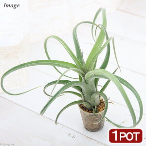 iϗtAjGA[vc@`WA@J[[Xi1|bgj