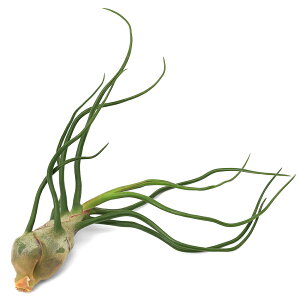 iϗtAjGA[vc@`WA@u{[T@XLTCYi1j