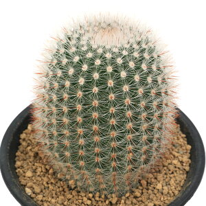 iAjT{e@mgJN^X@gixjR}`j@3i1j