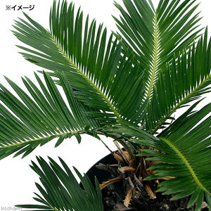 iϗtAjTCJX@\ecihSj@5`6i1j