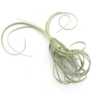 iϗtAjGA[vc@`WA@XgvgJp@LTCYi1j