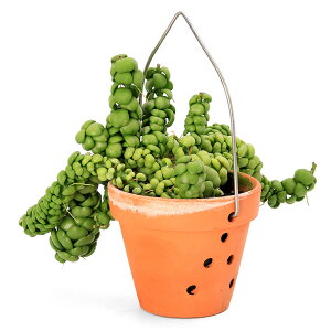 iϗtAjfBXLfBA@hSWFCh@3D5i1j