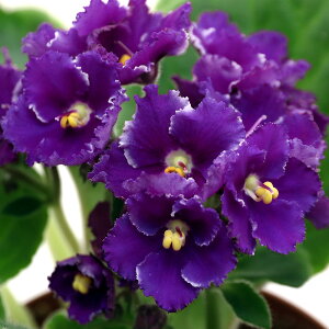 iϗtAjZg|[A@Xet@j[@Iv`}@3D5i1j