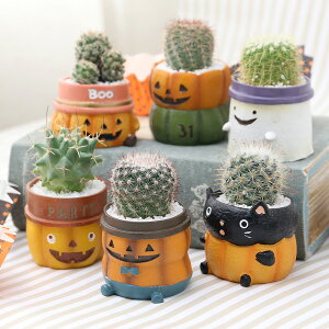 (観葉植物)サボテン寄せ植え ハロウィン ミニポット(3鉢)(説明書付き) 多肉植物 おしゃれ プレゼント