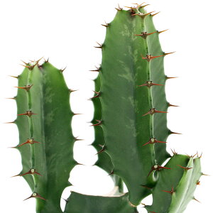 iAj[tHrA@_ti_CEJNj@3D5i1j