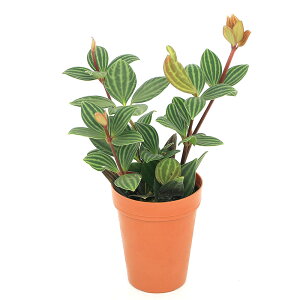 iϗtAjyy~A@veI[^@2i1j