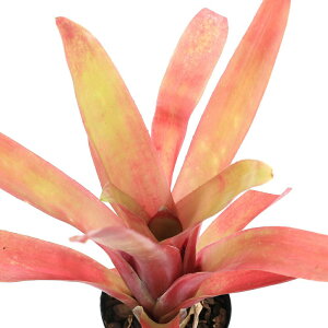 iϗtAjrxMA@AGi@ui1j^NuA