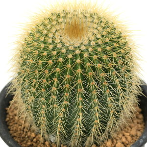 iAjT{e@GIJN^X@V[@3i1j