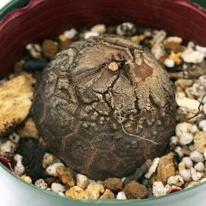 iAjfBIXRA@Gt@eB؃XiTbj@MTCY@3i1j