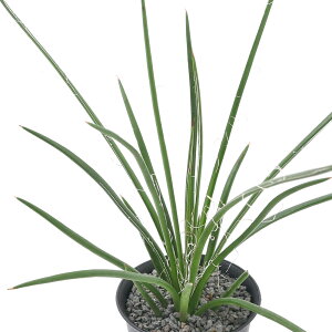 iAjAKx@WF~jt[@2`3i1j