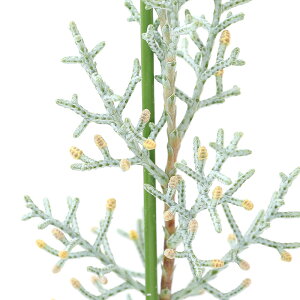 iϗtAjRjt@[@A]iCgXM@u[ACX@4i1j