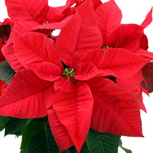 iϗtAj|CZ`A@C^Abh@5i1j@NX}Xt[