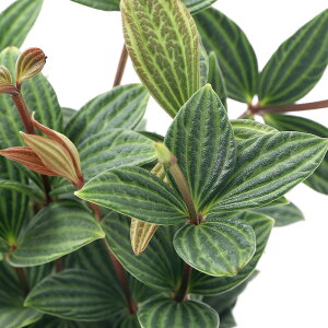 iϗtAjyy~A@veI[^@4i1j