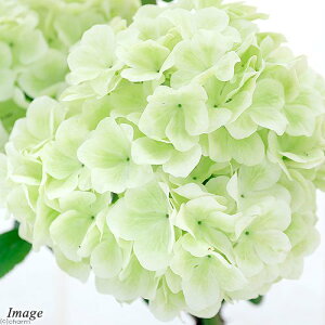 iR쑐jIIf}iro[i@Xm[{[j@5i1jixԁj