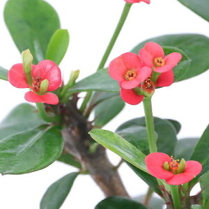 iAj[tHrA@ԃL@fBfB@3i1j