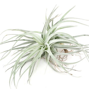 iϗtAjGA[vc@`WA@Q~jt[×NrtHAi1j