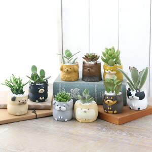 iϗtAj܂v`@ghbO@܂i1jł܂鍻