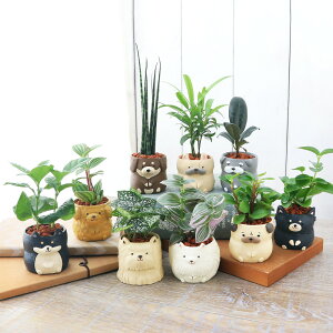 iϗtAj܂~jϗt@ghbO@܂i5j@A@@@v[g