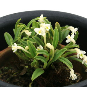 iϗtAjm@Jf`A@spD@3i1j