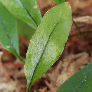 ieEj~NO}@sZCfXi1Jbvj@kCEBq֗vۉ