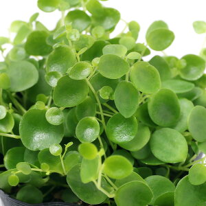 iϗtAjyy~A@WF~j@3i1|bgj