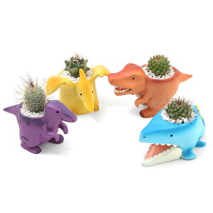 iϗtAj܂v`T{e@g@܂i1jł܂鍻