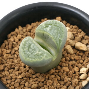 iAjing[vX@ʁ@1A@2D5i1j