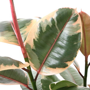 iϗtAjtBJX@GXeBJ@r[@6i1j