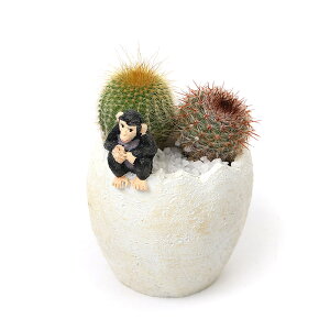 iϗtAjT{e2񂹐A@GbO|bg@`pW[@Xi1jł܂鍻