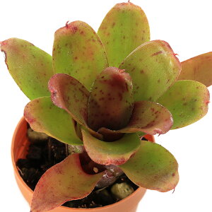 iϗtAjlIQA@f`L[^_f@2`3i1j^NuA