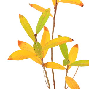 iR쑐jiM@nClRiM@3i1|bgj