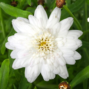 iϗtAjTg[@{U}[Kbg@TN@3D5i1|bgj