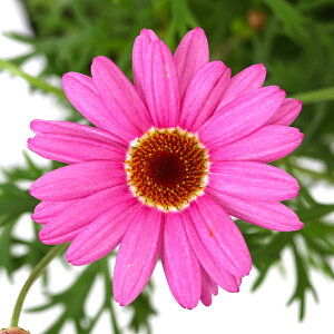 iϗtAjTg[@{U}[Kbg@RXXsN@3D5i1|bgj