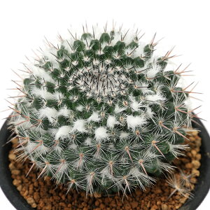 iAjT{e@}~A@͊ہ@3i1|bgj