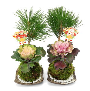 iϗtAj@ۋʎMtIN}cƃn{^iF܂ji1j@vqā@і