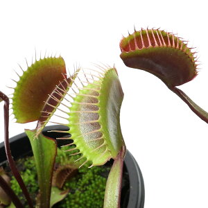 iHAjnGg\E@Cbh@2D5`3i1|bgjixԁj