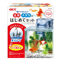 楽天市場】金魚（水槽セット｜水槽・アクアリウム）：熱帯魚 