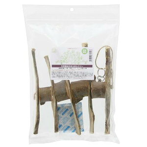 VRfނ̂c[@pЂ@؁@@nhCh@֓