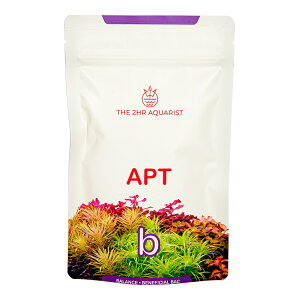 THE�@2HR�@AQUARIST�@APT�|BALANCE�@12�Z�b�g����@��ph�@�_���@�����@�֓�������