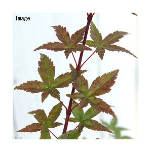 i~́j~W@|bg@óXifVEWEj4`6i1jsixԁj