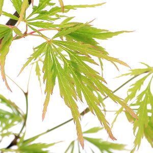 i~́j~W@|bg@}iAIV_j@4`6i1jsixԁj