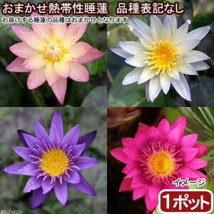 irIg[vj@@܂Mѐ@iXCj@i\LȂi1|bgjixԁj