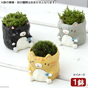 i~́jۖ~́@gAj}@lRi1j