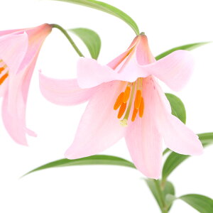 iR쑐jiSjqTiPSEIgj3`4i1|bgjixԁj