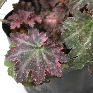 iR쑐j胀TLWW\Eilj3i1|bgjixԁj