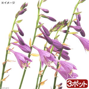 irIg[vjA@RoM{EVi3|bgj@A