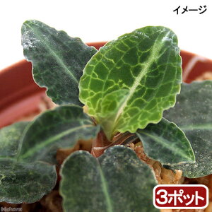 iR쑐jxjVXig㌎qji3j@WGI[Lbhixԁj