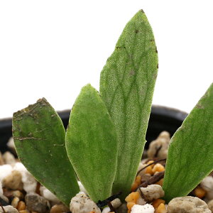 iR쑐jV_irj^L~V_iꌩrj2D5i1|bgjΐN